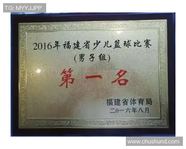 重庆排球队的奋斗与荣耀:大师赛背后的成长故事与突破之路